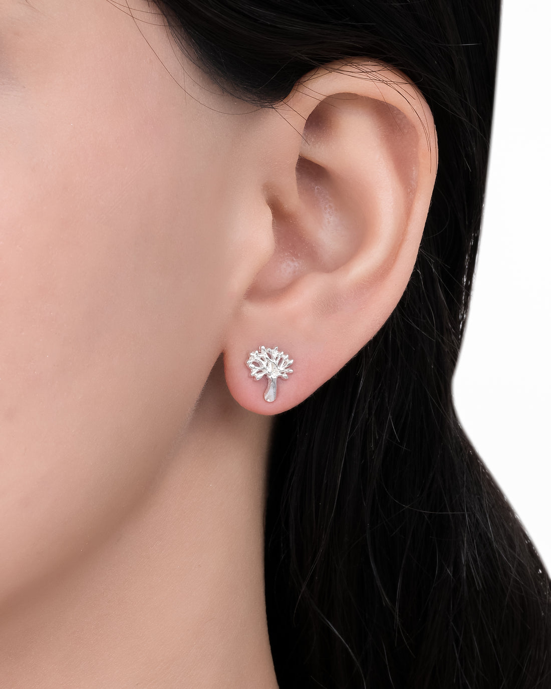 Evergreen Silver Studs